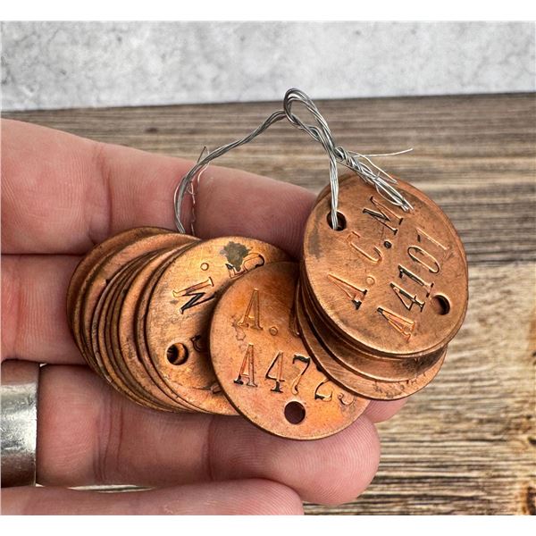 Anaconda Montana Copper Mining Company Tool Checks