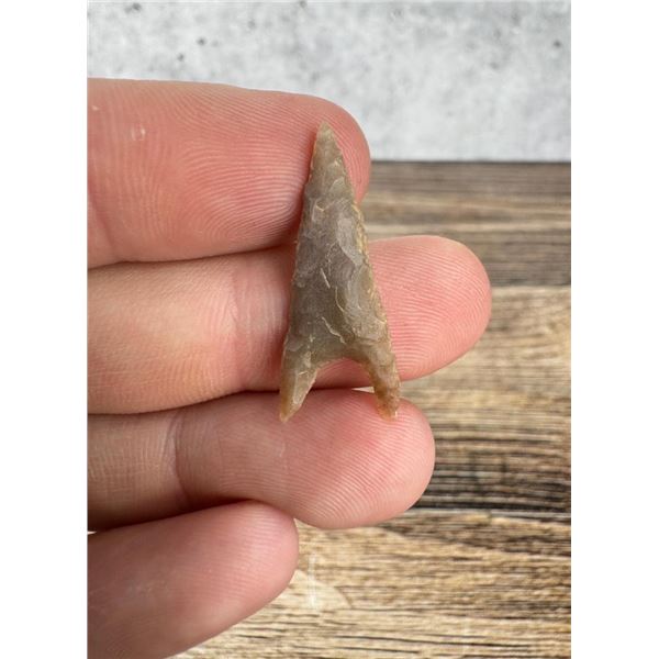 Ancient Native American Indian Arrowhead