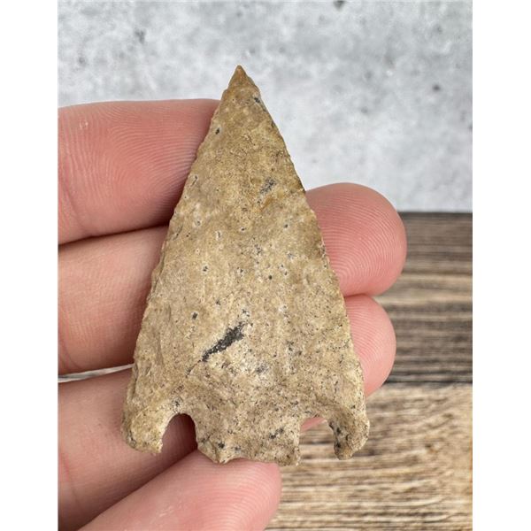 Ancient Native American Indian Arrowhead Point