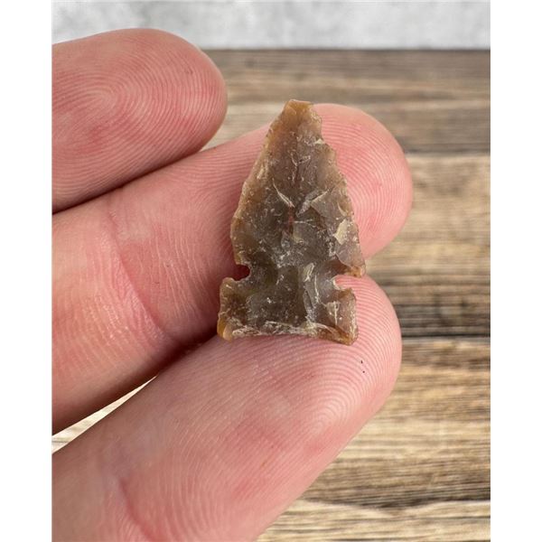 Ancient Native American Indian Arrowhead Point