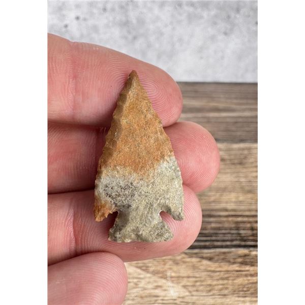 Ancient Native American Indian Arrowhead Point