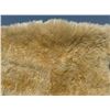 Image 2 : New Zealand Sheepskin Wool Rug Throw