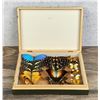 Image 1 : Butterfly Specimens In Frame Entomology