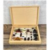 Image 1 : Butterfly and Beetle Specimens In Frame Entomology