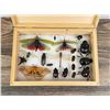 Image 2 : Butterfly and Beetle Specimens In Frame Entomology