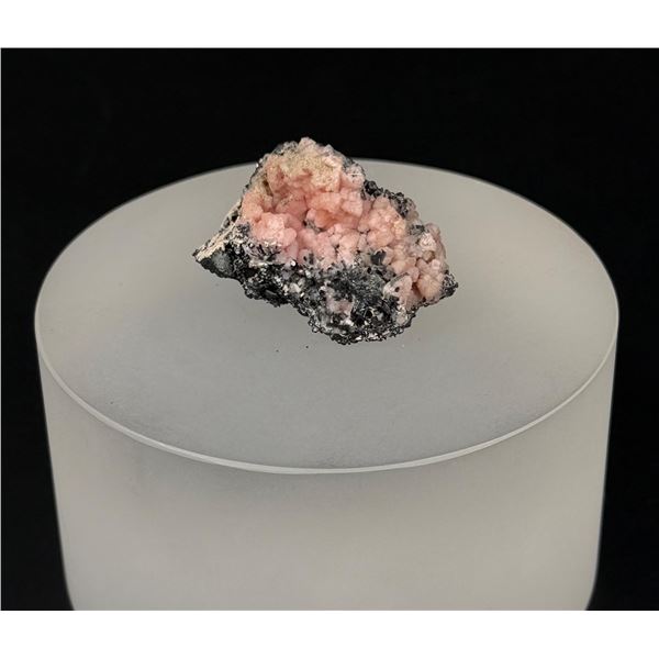 Pink Rhodochrosite Pyrite Mineral Specimen