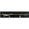 Image 1 : Argentine 1909 Mauser Rifle Dug Condition