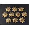 Image 1 : Elk Grove Laguna California Security Badges