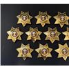 Image 2 : Elk Grove Laguna California Security Badges