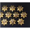 Image 3 : Elk Grove Laguna California Security Badges