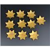 Image 4 : Elk Grove Laguna California Security Badges