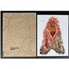 Image 16 : Nick Cave Soundsuits Holter Museum Catalog