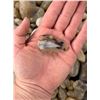 Image 2 : Jewelry Grade Montana Agate Rough