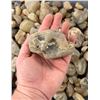 Image 4 : Jewelry Grade Montana Agate Rough