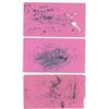 Image 2 : Butte Montana Electric Railway Ink Blotters