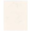 Image 2 : Ted Williams Baseball Player Signed Print