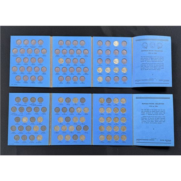 Collection of Buffalo Head Nickels