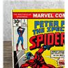 Image 2 : Marvel The Spectacular Spiderman #1 Comic Books