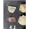 Image 3 : Ancient Native American Indian Stone Tools
