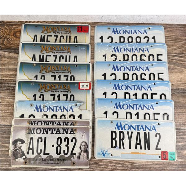 Collection of Montana License Plates