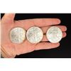 Image 1 : American Silver Eagle Coin Collection
