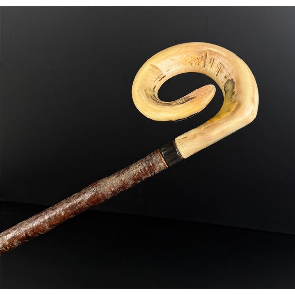 Curly Ram's Horn Blackthorn Country Walking Stick