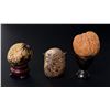 Image 1 : Chinese Hediao Walnut and Tagua Nuts