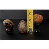 Image 4 : Chinese Hediao Walnut and Tagua Nuts