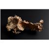 Image 2 : Native Copper Ray Mine Arizona Specimen