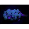 Image 1 : Mid Century Lucite Grapes