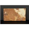 Image 2 : Knightia eocaena Green River Formation Fish Fossil