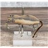 Image 2 : Heddon Meadow Mouse Fishing Lure