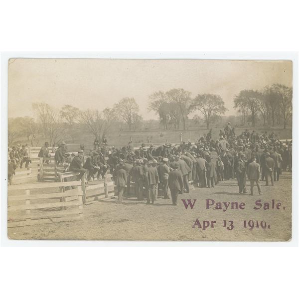 Livestock Auction RPPC Postcard