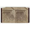 Image 1 : W.R. Cross Dakota Territory Yankton Stereoview