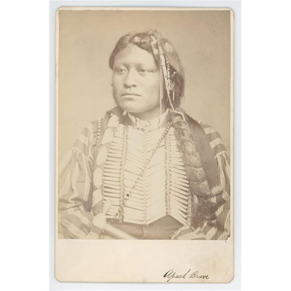 W.S. Soule Apache Chief Pacer's Son Photo