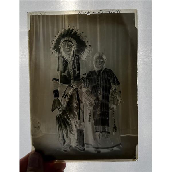 White Cow Bull Glass Photo Negative