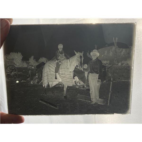 Sitting Bull's Horse Glass Photo Negative