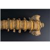 Image 11 : Antique Human Medical Spinal Column