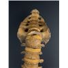 Image 12 : Antique Human Medical Spinal Column