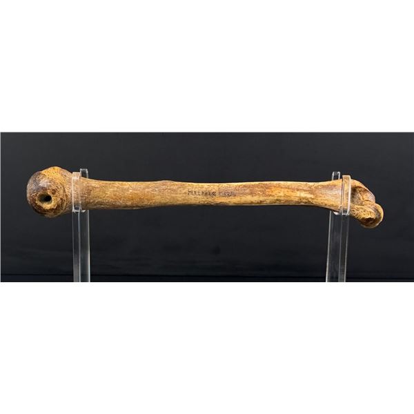 Antique Human Medical Humerus Arm Bone