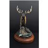 Image 3 : Carol Grende Makin Tracks Elk Bronze