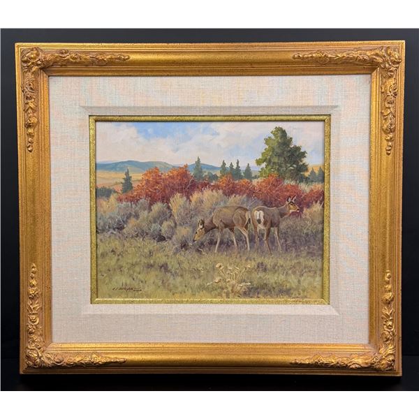 Robert Morgan Montana Mule Deer Painting