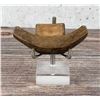 Image 2 : Alaskan Inuit Eskimo Mouth Bow Drill