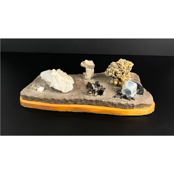 Collection of Rocks Fossils and Minerals