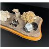 Image 2 : Collection of Rocks Fossils and Minerals