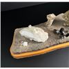 Image 4 : Collection of Rocks Fossils and Minerals
