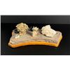 Image 5 : Collection of Rocks Fossils and Minerals