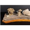 Image 6 : Collection of Rocks Fossils and Minerals