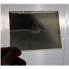 Image 13 : Collection of Glass Photo Negatives