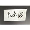 Image 16 : Collection of Glass Photo Negatives